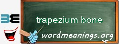 WordMeaning blackboard for trapezium bone